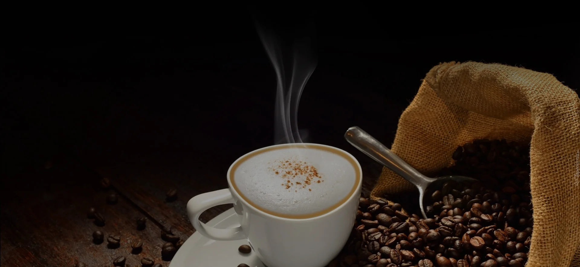 Best Coffee Beans 